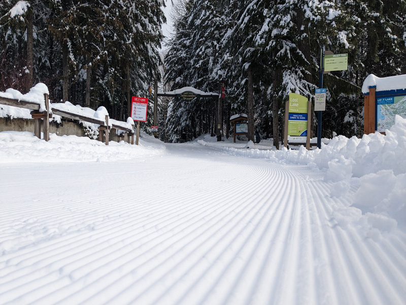 PXL_20240109_201503133.MP_